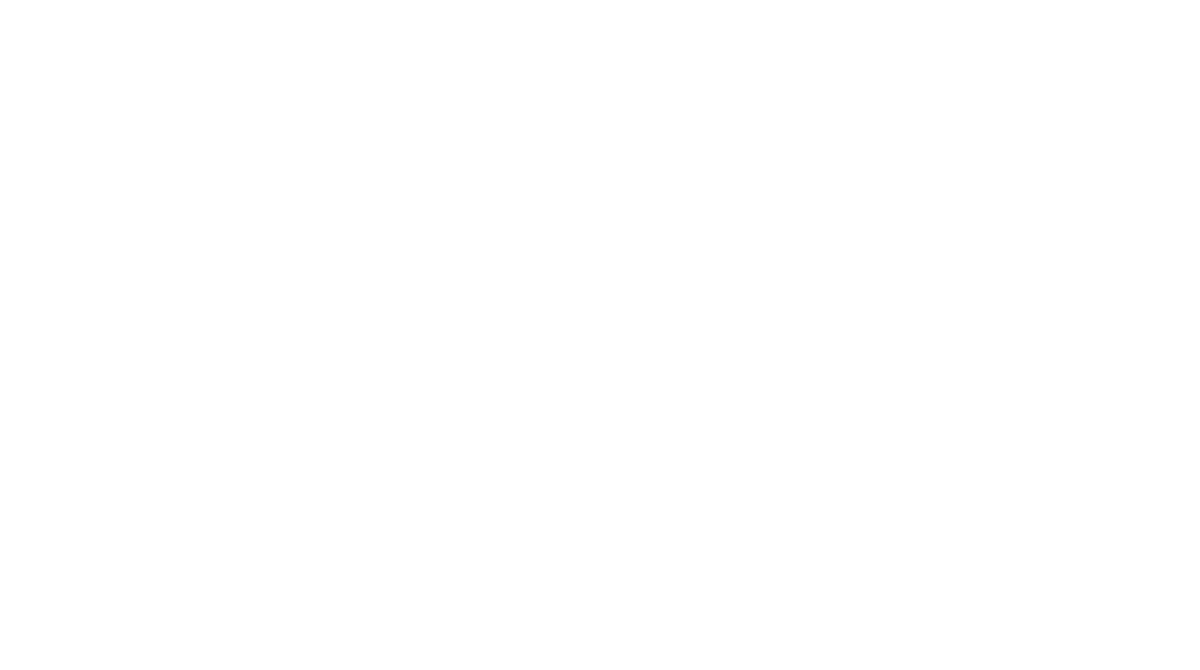 Sueli Dabus